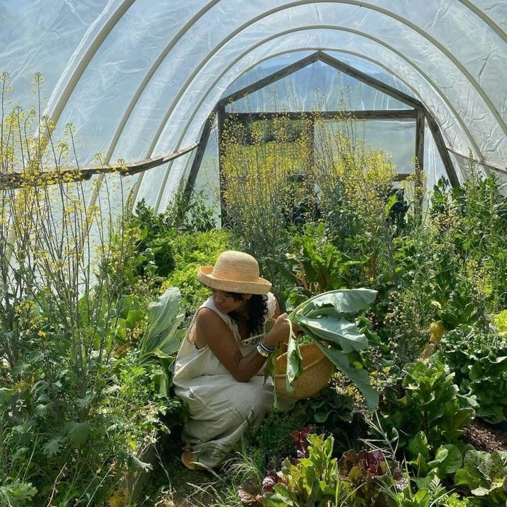 The SL Guide To: The Gut–Skin Connection